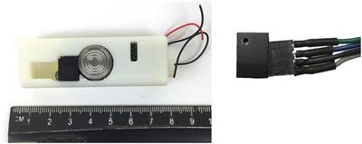 Advancing Observation of Ocean Biogeochemistry, Biology, and Ecosystems With Cost-Effective in situ Sensing Technologies